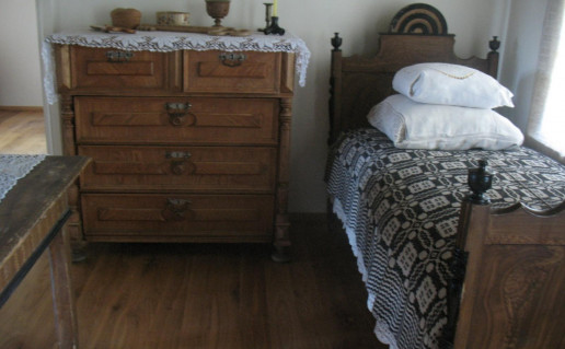 74_Zemaites memorialiniame muziejuje. A. Brazdeikytes n (3).jpg